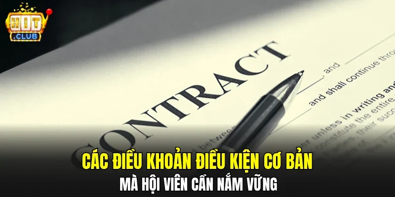 Các điều khoản điều kiện cơ bản mà hội viên cần nắm vững