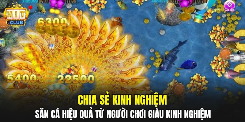 Chia sẻ kinh nghiệm săn cá hiệu quả từ người chơi giàu kinh nghiệm