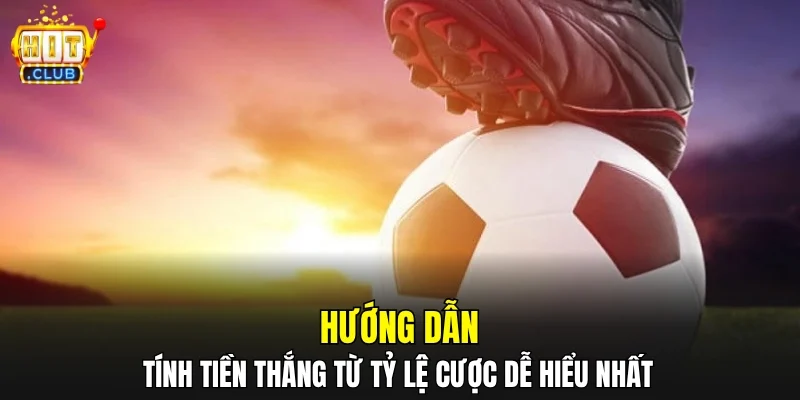 Hướng dẫn tính tiền thắng từ tỷ lệ cược dễ hiểu nhất 
